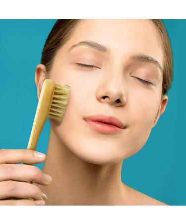 Nevlers Natural Boar Body Brush Set with Detachable Cellulite Brush - Exfoliate and Alleviate with Long Wooden Handle for Dry Brushing and Face Brush - Buy Online on GoSupps.com