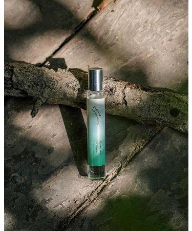 Perfume for Men Roll on Perfume Travel Size Eau de Parfum Men Men Fragrance Oil Perfume Musk Perfume for Men - Buy Online on GoSupps.com