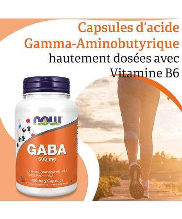 Now Foods GABA 500 mg 100 Vegetable Capsules Laboratory Tested Vitamin B6 Gluten Free Soy Free Vegetarian - Buy Online on GoSupps.com