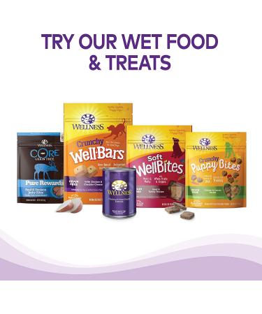 Wellness Natural Pet Food - 5 lbs. Lamb & Barley Dry Dog Food - Buy Online on GoSupps.com
