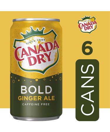 Canada Dry Bold Ginger Ale Mini Cans 7.5 fl oz - 6 Pack - Buy Online on GoSupps.com