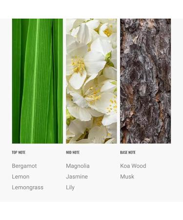 24K Diffuser Essential Oil Scent - Luxury Hotel Inspired Aromatherapy Scent Diffuser Oil - Hints of Zesty Citrus Floral Jasmine & Delicate Lily - for Essential Oil Diffusers - 500mL - Buy Online on GoSupps.com