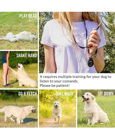 Dog Whistle and Dog Clicker Dog Training Kit Adjustable Frequencies Pitch Whistle with Black Lanyard and Wrist Strap for Dog Training Durable Lightweight Easy to Use 4 Pack (Black and White) - Buy Online on GoSupps.com