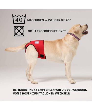 Sailing Trousers for Dogs 2.0 - High-Quality Neoprene Diapers for Male Dogs (XS Blue) | Optimal Air Exchange & Comfort - Buy Online on GoSupps.com