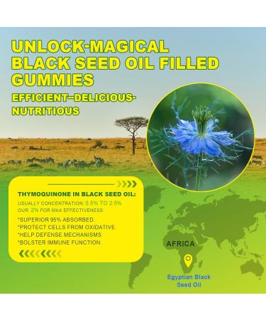 EnvyCure 2 Pack Moringa Spirulina Gummies Organic with 1 Pack Black Seed Oil Gummies - Buy Online on GoSupps.com