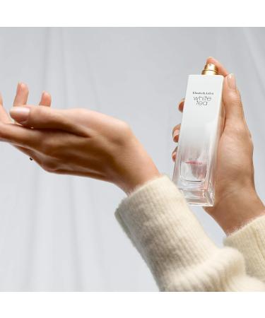 Elizabeth Arden Modern - Buy Online on GoSupps.com