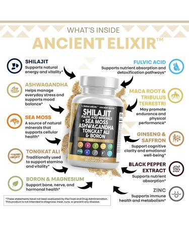 Clean Nutraceuticals Shilajit Supplement for Men with Sea Moss Tongkat Ali Ashwagandha Boron Zinc CoQ10 PQQ - Fulvic Acid Capsules - Energy Support - 90 Count - Resin Gummy & Powder Alternative - Buy Online on GoSupps.com