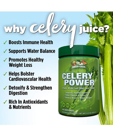 Garden Greens Organic Celery Juice Powder - 40 Servings (11.3 Oz) | Pure & Powerful - Buy Online on GoSupps.com