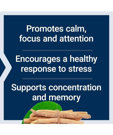Life Extension Ashwagandha Plus Calm & Focus ashwagandha Extract Spearmint Extract Focus Attention Relaxation Advanced Formula 60 Vegetarian Capsules - Buy Online on GoSupps.com
