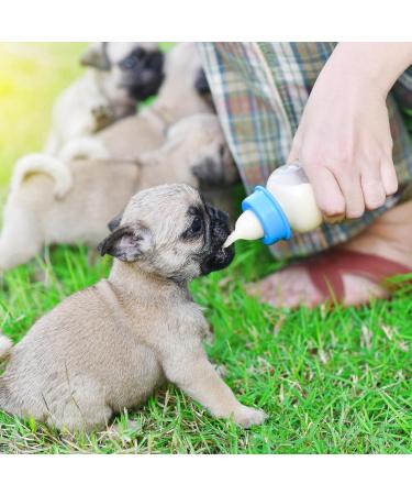 Breeding Bottle for Puppies & Kittens - 60ml & 150ml Silicone Pet Milk Bottle Set with Replacement Nipple - Buy Online on GoSupps.com