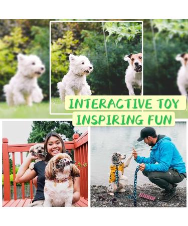 SHCNSJC Dog Toys Puppy Teething Rope Chew Toy for Small Dogs Indestructible for Boredom Interactive Large Tough Ball On A Ropes Medium & Small Chew Toy 12 PCS - Buy Online on GoSupps.com