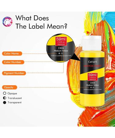 Caliart Acrylic Paint Set - 24 Colors (59ml/2oz) with 12 Brushes - Ideal for Artists, Kids, Beginners - Easter Basket Stuffers - Pumpkin Canvas, Ceramic, Rock Painting Supplies - Buy Online on GoSupps.com