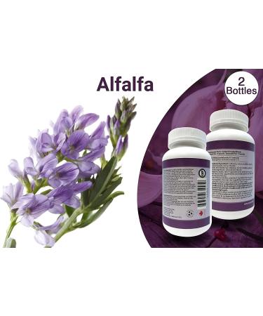Total Natural Alfalfa Supplement 500mg - 250 Capsules (2 Bottles) | Rich in Vitamins & Trace Minerals | Promotes Energy, Vitality & Digestive Health - Buy Online on GoSupps.com