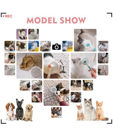 Rlihunix Self Cleaning Slicker Brush | Dog & Cat Grooming | Shedding & Mats Removal | Short & Long Hair | Blue - Buy Online on GoSupps.com