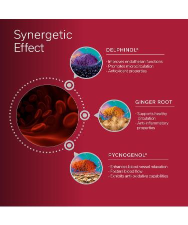 Daily Circulation | Super Antioxidants Supplement & Daily Circulatory Support | Maqui Berry (Delphinol), French Maritime Pine Bark (Pycnogenol), Ginger Root Extracts | 30 Servings 30 Count (Pack of 1) - Buy Online on GoSupps.com