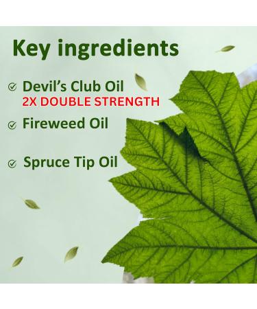 Alaska Rainforest 2X Salve Stick - Natural Dry Skin & Joint Relief | Soothing Body & Hand Salve with Alaskan Devil s Club Oil - Buy Online on GoSupps.com