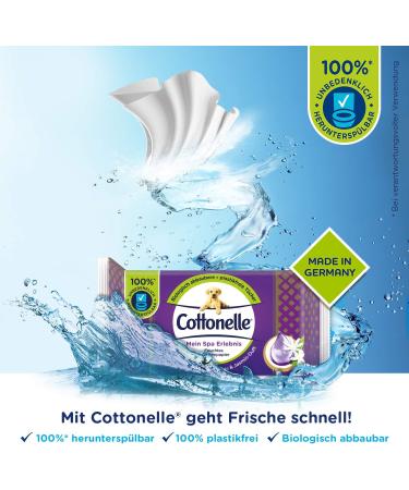 Cottonelle Moist Toilet Paper - My Spa Experience Silk & Jasmine Biodegradable & Plastic-Free Wet Wipes | 12x42 Advantage Pack - Buy Online on GoSupps.com
