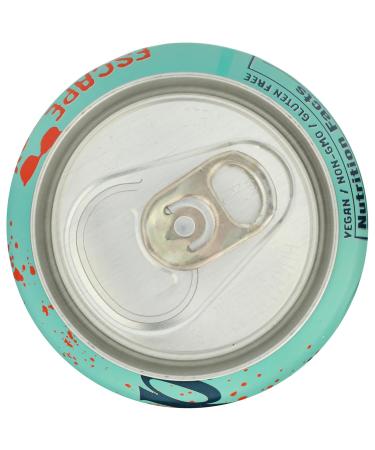 Daytrip Clementine Prebiotic Soda 12 Fl Oz - Buy Online on GoSupps.com