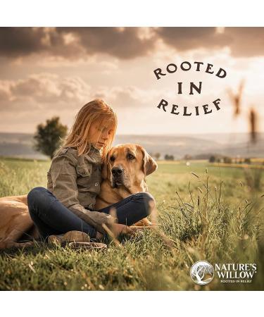 Nature's Willow All Natural Bug Bite Patches with White Willow Bark | 40-Count Anti Itch Relief for Mosquito & Spider Bites - Buy Online on GoSupps.com