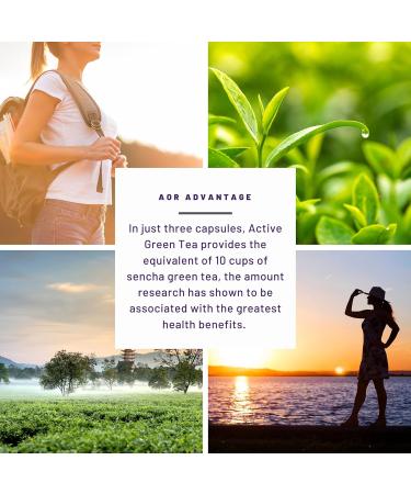 AOR - Active Green Tea 180 Capsules - Helps to Reduce Oxidative Damage - Green Tea Catechins Help Protect Plasma and Lipoproteins from Oxidative Damage by Increasing Blood Antioxidant Capacity - Buy Online on GoSupps.com
