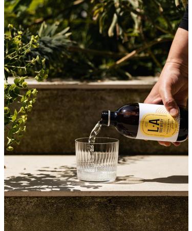 L.A Brewery Non Alcoholic Sparkling Craft Kombucha Drink Citrus Hops | Low Sugar Gluten Free & Vegan | Brewed in the UK (12x330ml Bottles) - Buy Online on GoSupps.com