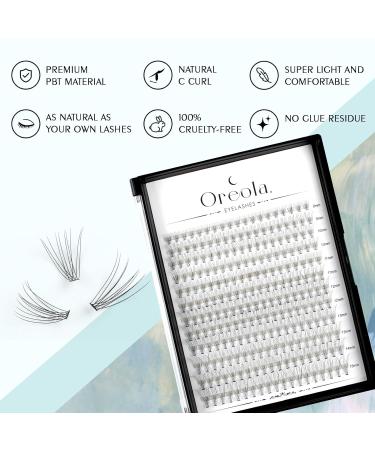 Oreola Eyelash Extension Set - 228 Pcs Individual Lashes 0.07C 8-15mm Wispy Natural Look DIY Kit with Applicator & Remover - Buy Online on GoSupps.com