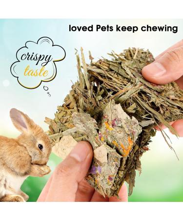 ABIZOO HASE KOTH THE: 10 Natural Rabbit Tears & Herbal Treats - Timothy Hay Toy for Dwarf Rabbits Guinea Pigs Chinchillas & Hamsters - Buy Online on GoSupps.com