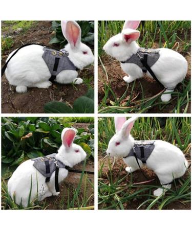 Wosume Rabbit Leash & Clothes - Cotton Accessories for Small Rabbits | International Shipping - Buy Online on GoSupps.com