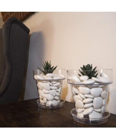 Kalapanta Recycled Plastic Decoration Stones for Vases & Aquariums - Eco-Friendly White Decor (S 2-5 cm 155 Pieces) - Buy Online on GoSupps.com
