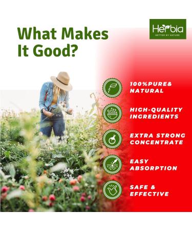 HERBIA Organic Goldenseal Root Extract Immune Support & Antioxidant Liquid Herbal Supplement Alcohol-Based 10:1 Concentrate Fast Absorption Made from Organically Grown Goldenseal 2 fl oz - Buy Online on GoSupps.com