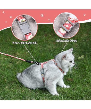 Petom Flower Pattern Cat Dishes & Leash Set | Round Lanyard for Cats - Shop Internationally! - Buy Online on GoSupps.com