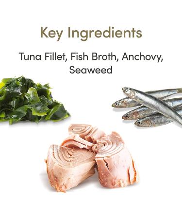 Applaws Chicken Breast with Pumpkin in Broth Wet Cat Food 2.47oz (Pack of 12) - Grain-Free & Natural - Buy Online on GoSupps.com