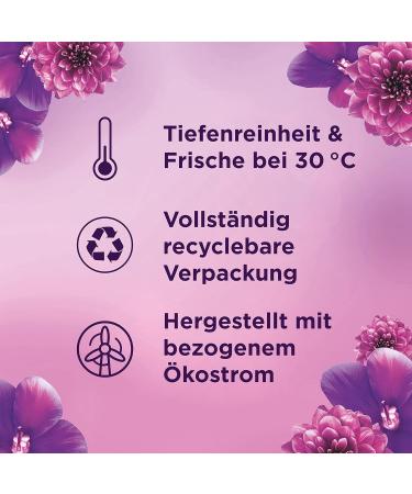 Lenor WM Liquid Amethyst Flower Dream 5L | 100 Washes - April Fresh Laundry Detergent | International Shipping Available - Buy Online on GoSupps.com