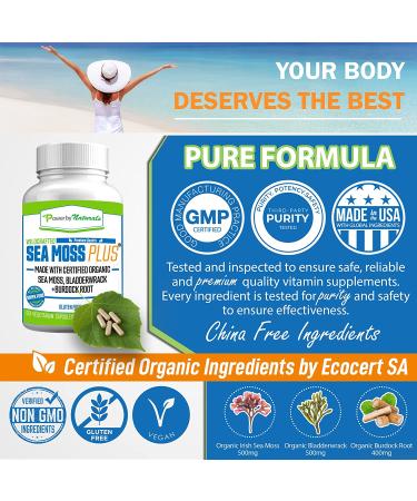 Power By Naturals Certified Organic Sea Moss Plus Supplements - 60 Vegan Capsules with Irish Sea Moss, Bladderwrack, and Burdock Root for Pure and Potent Seaweed Blend - Buy Online on GoSupps.com