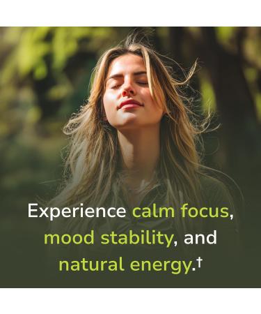 Vinco Inc - Stress Redux+ Advanced Adrenal & Cortisol Daily Supplement | (60 Capsules) | Reduce Stress & Fatigue | Supports Mood Balance Focus & Emotional Well-Being | Gluten Free - Buy Online on GoSupps.com