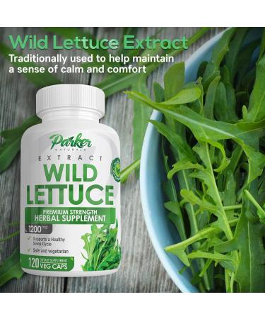 Parker Naturals Wild Lettuce Extract Herbal Sleep Supplement 1200mg 4:1 Concentrated Vegan Capsules Soothes Discomfort 60 Servings 120 Count 1 Count (Pack of 120) - Buy Online on GoSupps.com