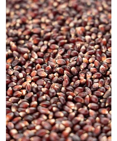 Biojoy Organic Ruby Red Popcorn (1 kg) - Unsweetened Unsalted Cinema-Style Snack for Healthy Eating - Buy Online on GoSupps.com