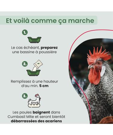 Cumbasil Mite Dust Bath for Chickens 25kg Mite Powder Sand Bath 100% Natural Mite Protection Mite Powder Mite Product - Buy Online on GoSupps.com