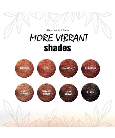 Light Mountain Natural Black Hair Color & Conditioner - 7 oz | Color the Gray! - Buy Online on GoSupps.com