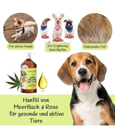 Liter Hemp Oil for Animals - Premium Hemp Oil for Dogs & Cats BARF Oil for Dogs Natural Fish Oil Supplement - Buy Online on GoSupps.com