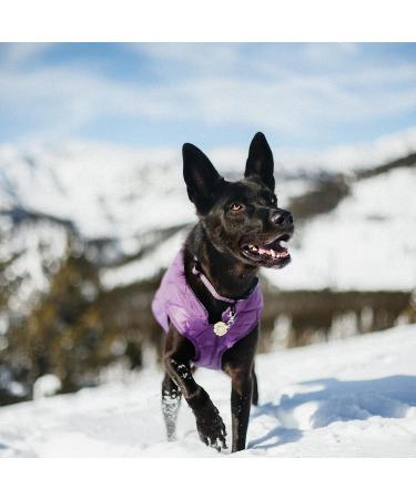 Kurgo Loft Dog Jacket XL - Reversible Fleece Winter Coat - Cold Weather Protection - Reflective Accents - Water Resistant - Deep Violet/Charcoal - Buy Online on GoSupps.com