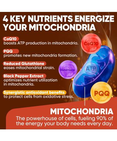 CoQ10-200mg-Softgels, 120 Servings Liposomal CoQ10 PQQ & Black Pepper Extract for Maximum Absorption - Ultra Ubiquinone Coenzyme Q10 Supplement Powerful Antioxidant Supports Hear-t & Energy Boost - Buy Online on GoSupps.com