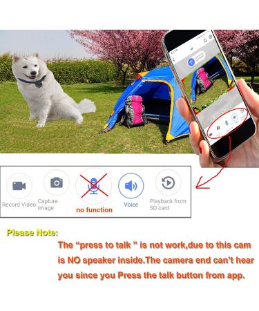 Wireless Rechargeable WiFi Pet Collar Camera Recorder Tracker - 720P HD with Night Vision - Bigger Size - Behavior Observation - Buy Online on GoSupps.com