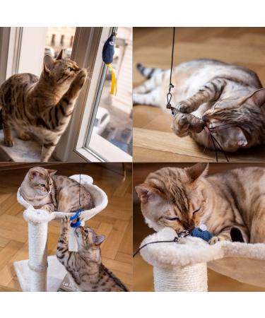 Pretty Kitty Cat Toy Set - 15-Piece Vegan Cat Toys with Feathers & Catnip for Happy Felines - Buy Online on GoSupps.com