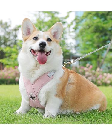 Shop No-Pull Dog Harness for Small Dogs | Reflective Soft Safety Harness & Leash - Pink M - Buy Online on GoSupps.com