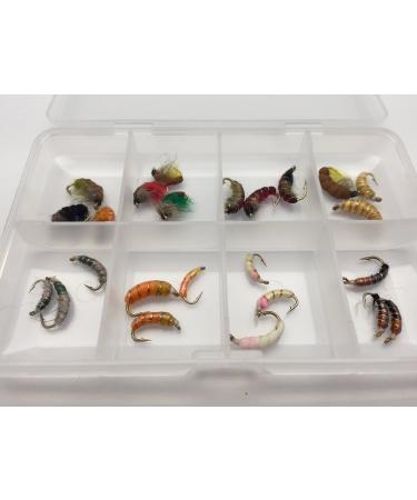 Fly Fishing Box of Czech Nymphs Copper Wire Weighted 24 Pieces Format 10/14 Pack # 321
