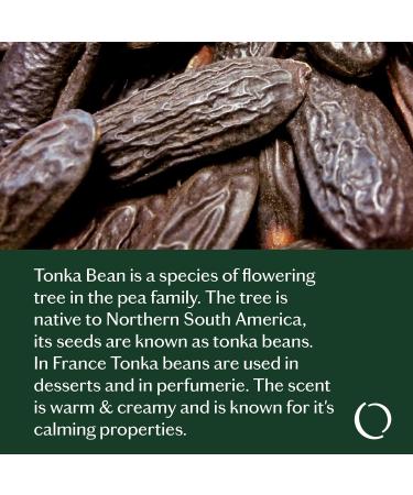 LIVEDROPS 24/7 Sleep Good Essential Oil Blend - Crafted in France - Lavender & Rose - Pure & Natural - Aromatherapy - Skin Safe & Diffuser Compatible - Clinically Tested - Buy Online on GoSupps.com