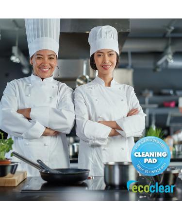 Ecoclear Stainless Steel Cleaning Sponge - 10 Pack | Professional Antibacterial & Reusable Cleaner for Shiny Surfaces - Buy Online on GoSupps.com