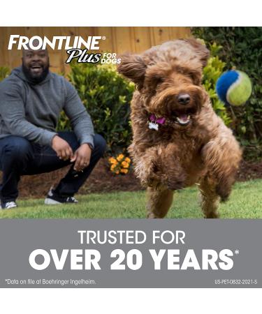 FRONTLINE Plus Flea & Tick Treatment for Large Dogs (45-88 lbs) - Effective Protection - Buy Online on GoSupps.com