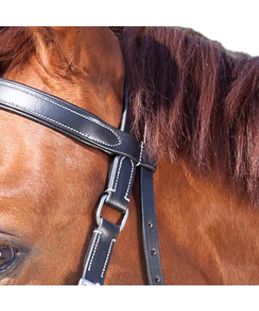 WALDHAUSEN Star Bitless Bridle for Warmbloods - Premium Black Horse Gear | Buy Internationally - Buy Online on GoSupps.com